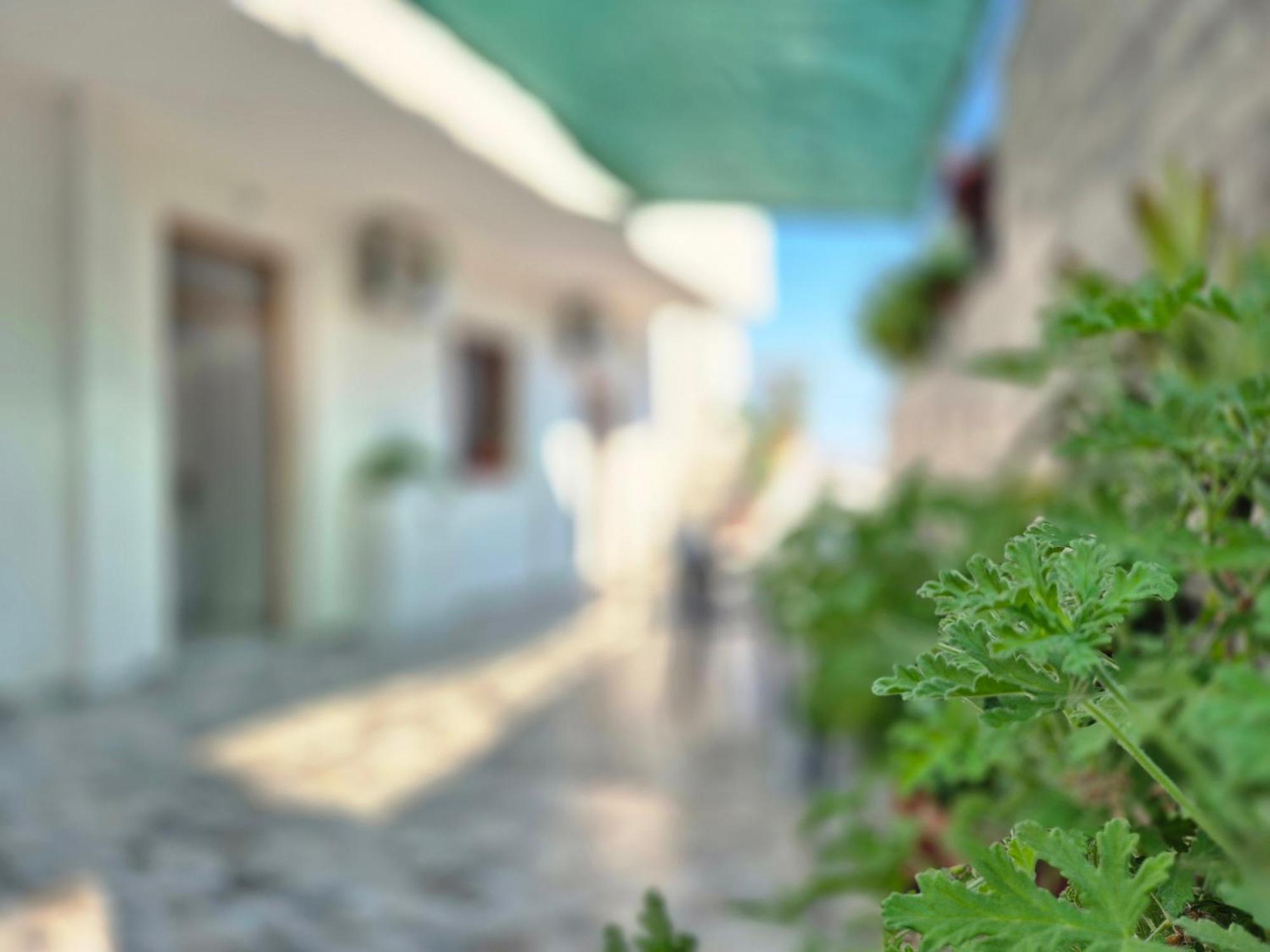 Leilighetshoteller Roxhest Sarandë